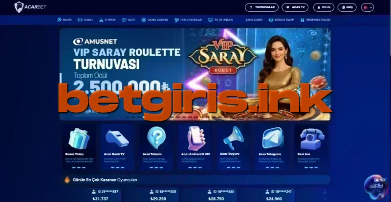Acarbet ana sayfa görünümü