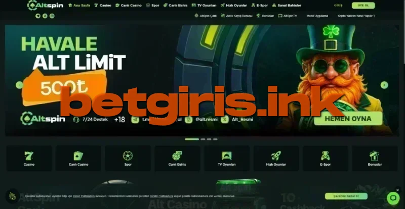 Altspin ana sayfa görünümü