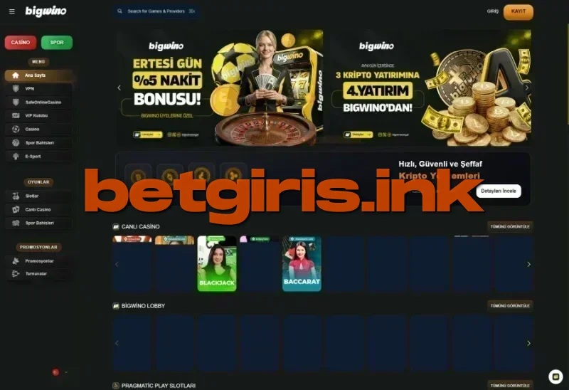 Bigwino ana sayfa görünümü