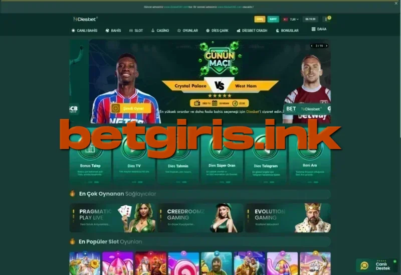 Diesbet ana sayfa görünümü
