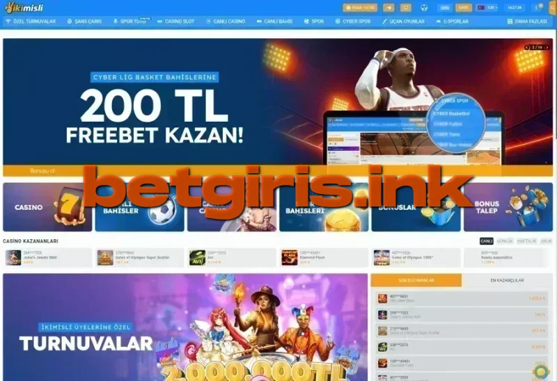 İkimisli ana sayfa görünümü