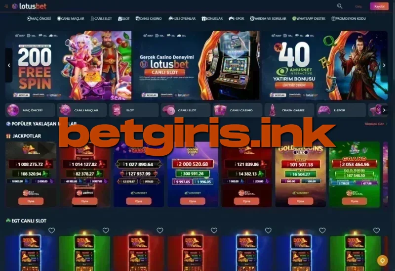 Lotusbet ana sayfa görünümü