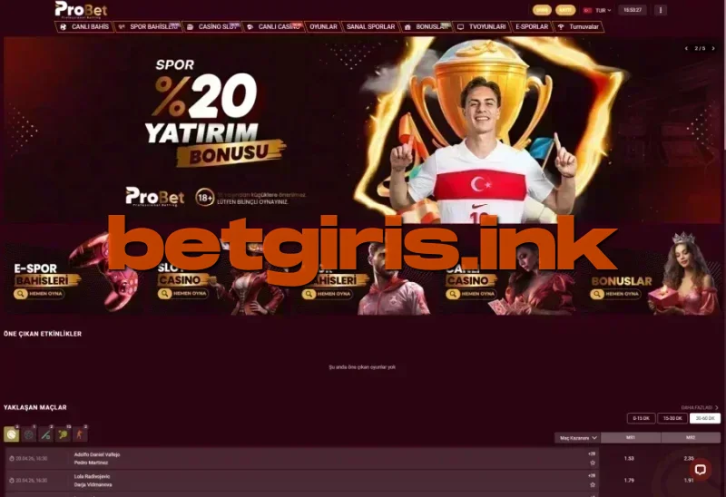 Probet ana sayfa görünümü