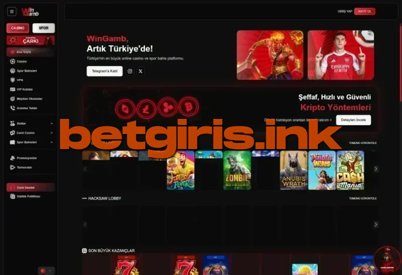 Wingamb ana sayfa görünümü